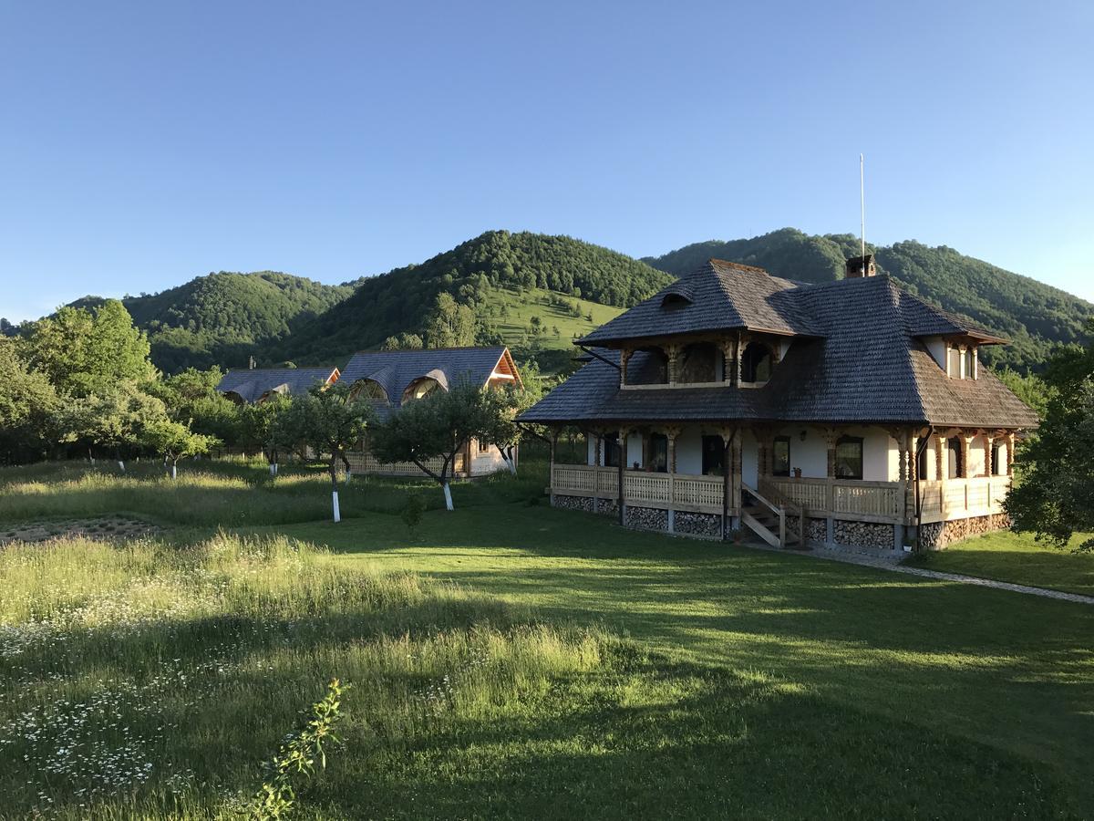 Magnolia Resort Chalets Vişeu de Sus Exteriör bild